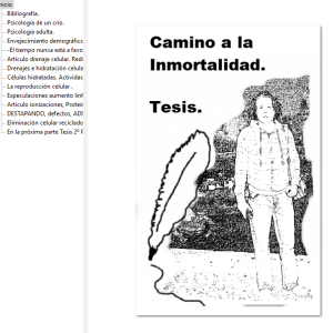 Mi primer ebook.
