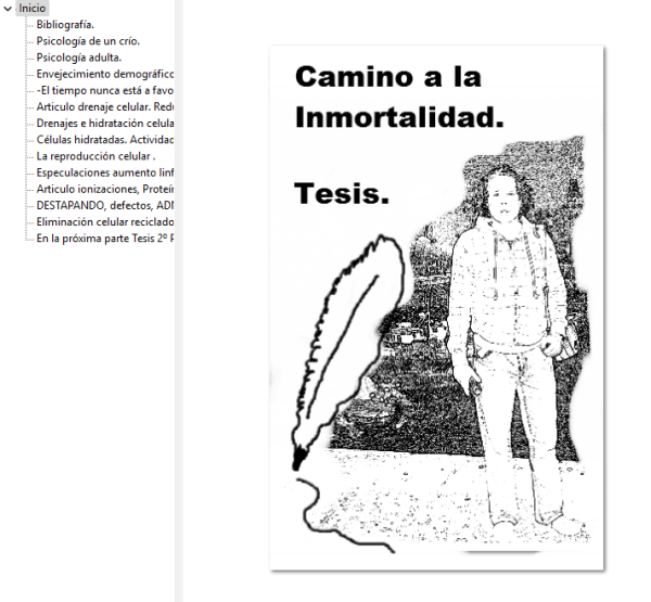 Mi primer ebook.